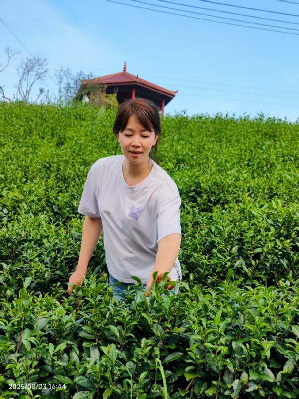 Q绮芳的第一张照片--福建王婆说媒